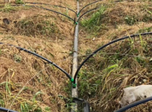 农田水肥一体化智能灌溉系统