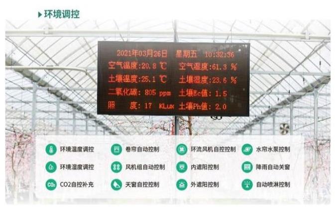 624e520af293d.jpg 3.jpg